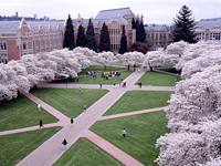 CDWA024_U of Washington.jpg